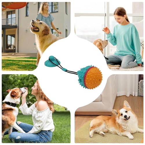 Jouet interactif à mâcher pour chien et chiot avec ventouse puissante
