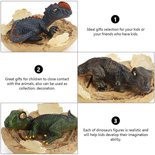 STOBOK 6 Peças de Ovos de Dinossauro Escavação Arqueologia Ciência Tronco Brinquedos Melhores Artesa