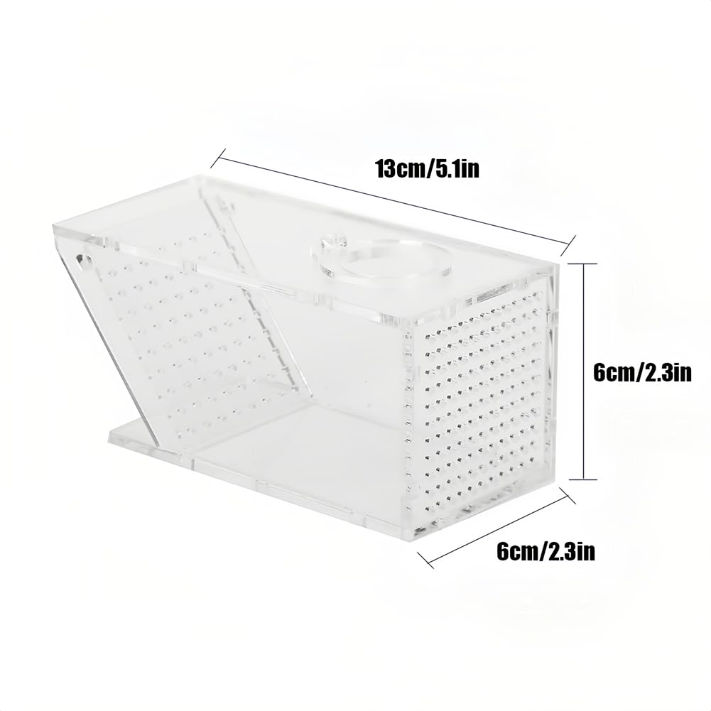 Joyzan Fischfalle Catcher Box, Süßwasserkrabbenfalle Acryl Aquarium zum Fangen von Garnelen Krabben Hausgarten Büro Fisch Süßwasser Krabbenfalle One Way Trap Fischzuchtbox Transparent Einwegventil