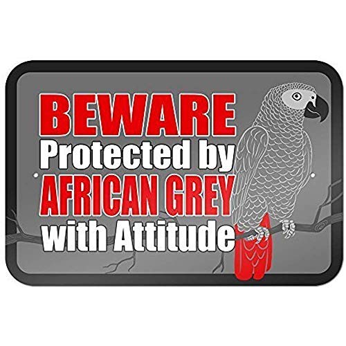 Biopracess New Warning Sign Beware Protected By African Grey With Attitude Aluminum Metal Sign 8x12 Inches
