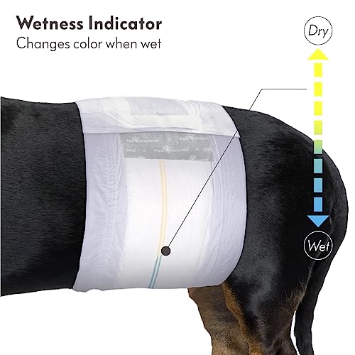 Paw Inspired Select Fit Hundewindeln für Rüden, Einweg-Bandagen für Rüden mit Nässeindikator, Bauchbänder für kleine, mittelgroße und große Hunde (Größe M, 20 Stück)
