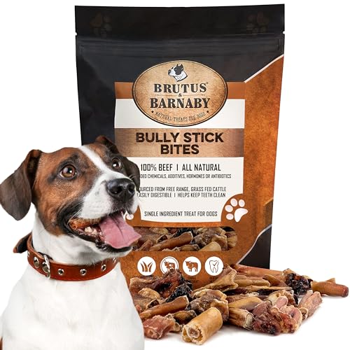 Brutus  Barnaby Bully Stick Bites  Grass Fed Low Odor Bully Stick Bites All Pure and Grain Free 1lb  Cucciolini Doodles Brutus  barnaby bully stick bites  grass fed low odor bully stick bites  all pure and grain free 1lb   cucciolini doodles