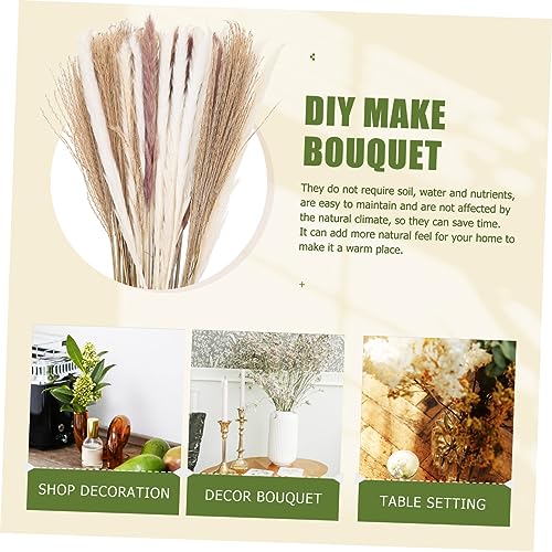 Zerodeko 300 Peças Flores de junco secas planta seca de junco arranjo de junco para casa pompas deco
