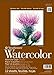 Strathmore 440-2 Strath W.Color 400 11X1512SHT 130LBS, 11"x15", 12 Sheets