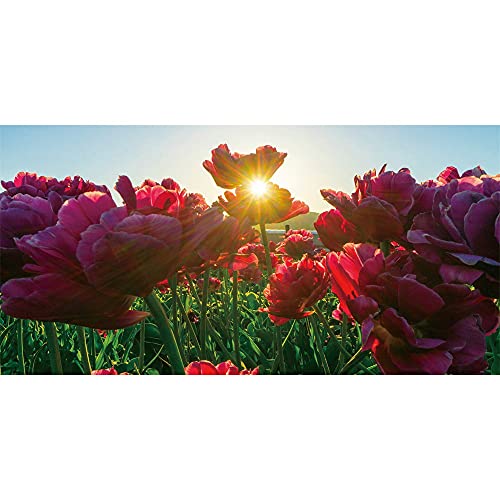 Broderie Diamond Painting Complet Anti Stress Sunset pour Toile Murale