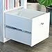 Walker Edison Furniture White Wood Deluxe Storage Computer Desk with Hutch, 40