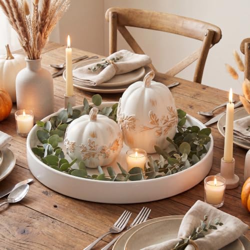 Thyle 2 Pcs White Pumpkins Fall Decor Resin Halloween Rustic Pumpkin by Thyle - Used condition - Image 4