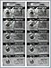 10 Energizer 392/384 Multi-Drain Batteries (LR41)