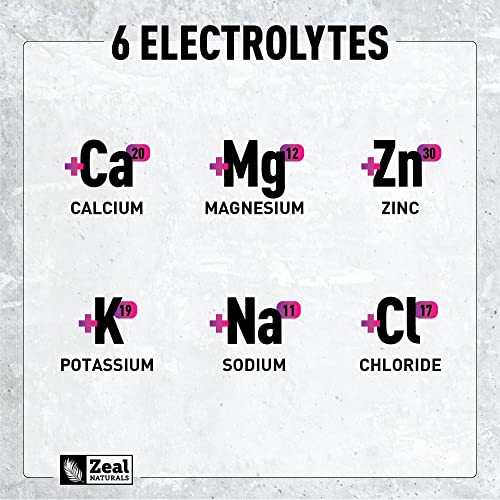 Enhanced Electrolyte Powder (Black Cherry| 90Ct.) Sugar Free + Bcaa, B-Vitamins & Real Salt® + Véla Vegan Plant Protein Chocolate | 25 Servings With Vegan Bcaas Greens And Plant Protein #TOP7