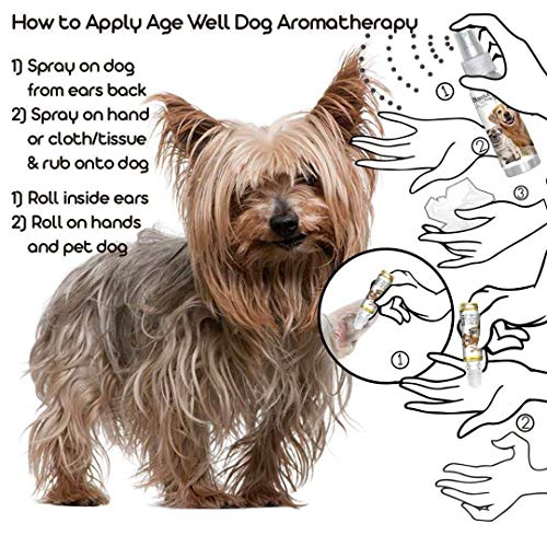 Image of The Blissful Dog Yorkshire Terrier Age Well Dog Aromatherapy Roll-On Bottle for Your Dog's Peaceful Ageing