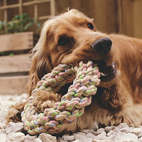Beco-Hemp-Rope-Jungle-Ring-Tough-Durable-Dog-Toy-Chew-Tug-Pull-Throw-Playtime - Cucciolini Doodles   Beco-Hemp-Rope-Jungle-Ring-Tough-Durable-Dog-Toy-Chew-Tug-Pull-Throw-Playtime