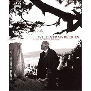 Wild Strawberries