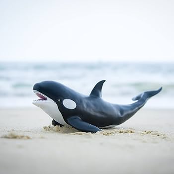 フェニックス　DIGENITE THERMO ORCA SHELL フェニックス DIGENITE THERMO ORCA SHELL フェニックスDIGENITE