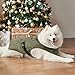 EMUST Winterhundejacke, kuschelige winddichte Hundejacke für kaltes Wetter, einfarbig, für mittelgroße Hunde, Grün, M