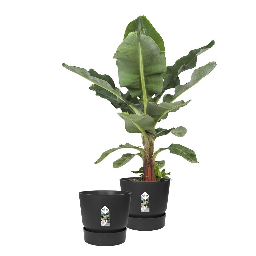 Elho Greenville Ronde 30 | Lot de 2 Pot de Fleur - Living Noir