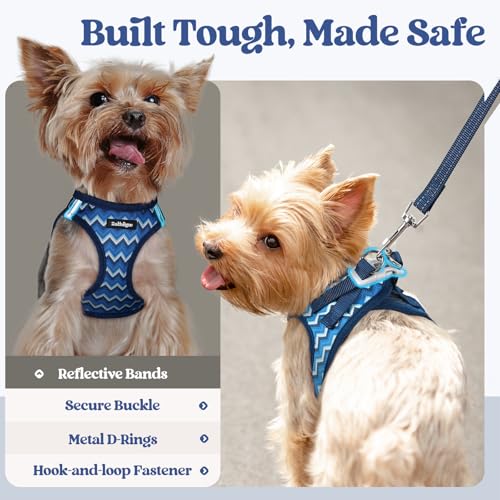 Image of rabbitgoo Dog Harness Small Sized and Leash Set, Step-in Puppy Pet Vest