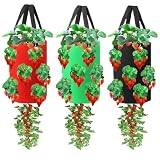 Miewslan 3 Pieces Upside Down Tomato Planter, 3 Gallons Grow Bags Hanging Strawberry Planter Strawberry Tomato Potato Vegetable Planting Bag with 13 Holes(Red+Green+Black)