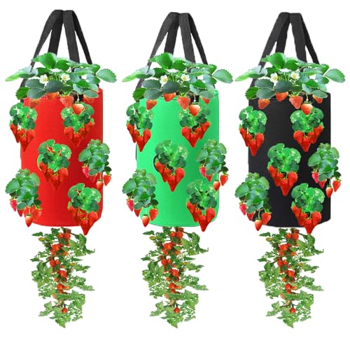 Miewslan 3 Pieces Upside Down Tomato Planter, 3 Gallons Grow Bags Hanging Strawberry Planter Strawberry Tomato Potato Vegetable Planting Bag with 13 Holes(Red+Green+Black)