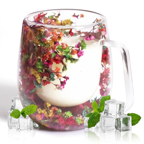 AWSOLAR 350ml Dried Flower Double Walled Glass Mugs, Double Insulated Coffee Mugs with Flower Mug Gifts Ideas for Women Mum Wife Teacher Friend