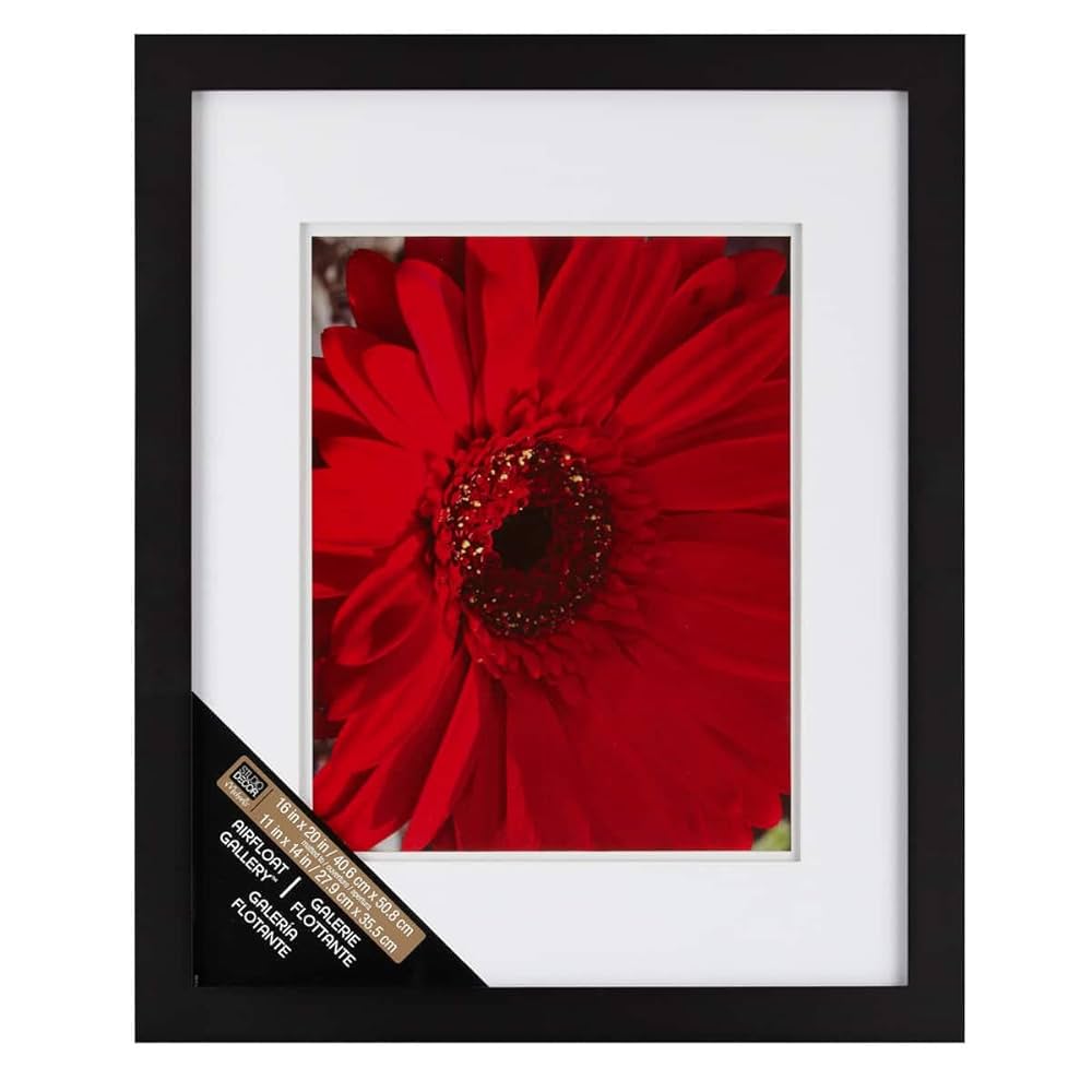 Amazon.com - Gallery Black Wall Frame with Double Mat by