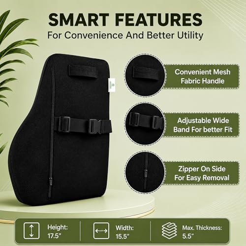Image of Memory Foam Lumbar Back Support Cushion for Office Chair & Car Seat | Ergonomic Lower Back Pillow for Posture Support & Sitting Comfort | Breathable Cover | 1 Year Warranty (Black)
