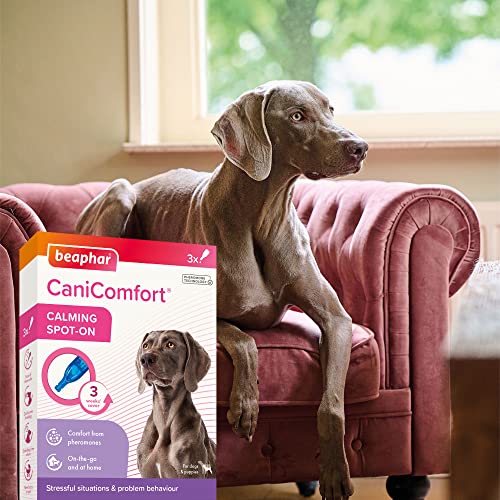 Beaphar CaniComfort® Wohlfühl Spot-On