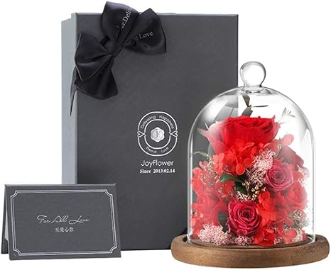 Amazon エンチャントローズ 美女と野獣のバラ 手作り 永遠のバラ ガラスドーム付き ウッドベースで 100 実際ローズ の クリスマスバレンタインデー B 15x15x17cm 造花 オンライン通販