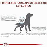 Ver la foto 3