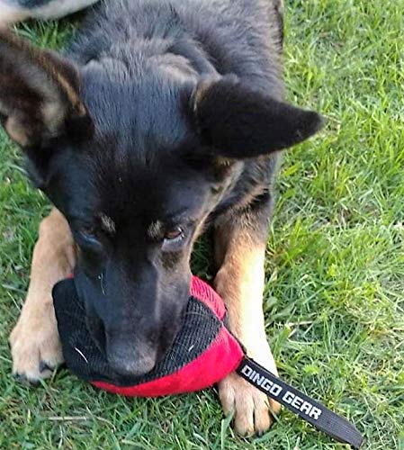 Dingo Gear Trainings-Spielzeug Nylcott French Material Training Spiel Apport IGP Obedience Apporte Spiel für Hund Klein Bäll, Rot S02780