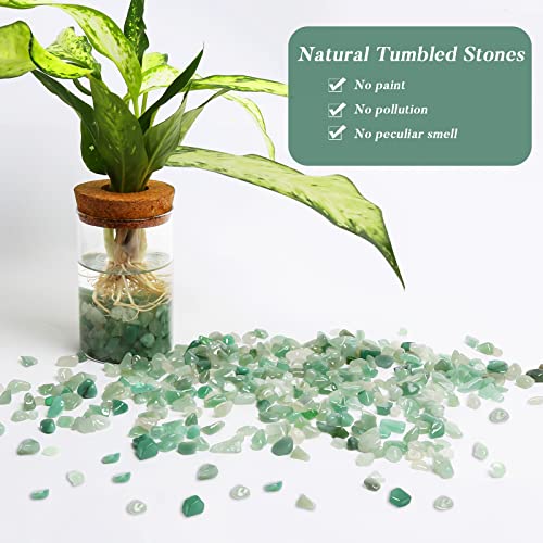 Image of QICQDRAM Polished Gem Stones Rocks Crystals 1 Lb Natural Tumbled Stones Green Aventurine Crystal Chips Bulk for Healing Crystals & Fish Tank Rocks Gravel, Vase Filler, Plants Decor