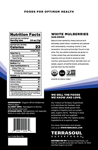 Terrasoul Superfoods Organic Sun-Dried White Mulberries thumb #1
