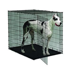   MidWest-Homes-for-Pets-Solution-Series-Plastic-Pan-Replacement-for-the-1154U-Door-Dog-Crate
