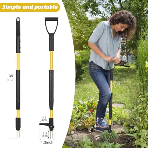 Gbekery LY-YMQ-001 39 Inch Detachable Weed Puller Tool Stand Up,Heavy Duty Ergonomic D-Handle Weeding Tool,High-Strength Stainless Steel 3-Claw Weeder thumb #1