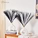 Faylifeway 50pcs Pampas Grass 17in, Black and White Pampas Grass Artificial Fluffy Vase Filler Flower Arrangement for Home Party Living Room Decor(Black & Grey & White)