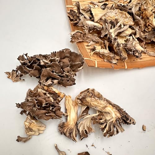 Y  ܂40g*3܃Zbg ̂  }C^P ̂ hĈ o^[u  pX^Ȃǂ̗y߂