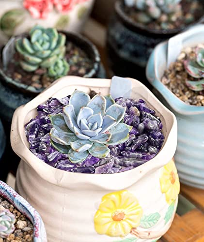 Natural Amethyst Tumbled Stone, 6Lbs Crystal Quartz Pebbles, Irregular Shaped Decorative Chips, Crushed Gravel Rocks For Vase Filler, Aquarium, Home Decoration, Vases Plants, Succulents And Cactus #TOP4