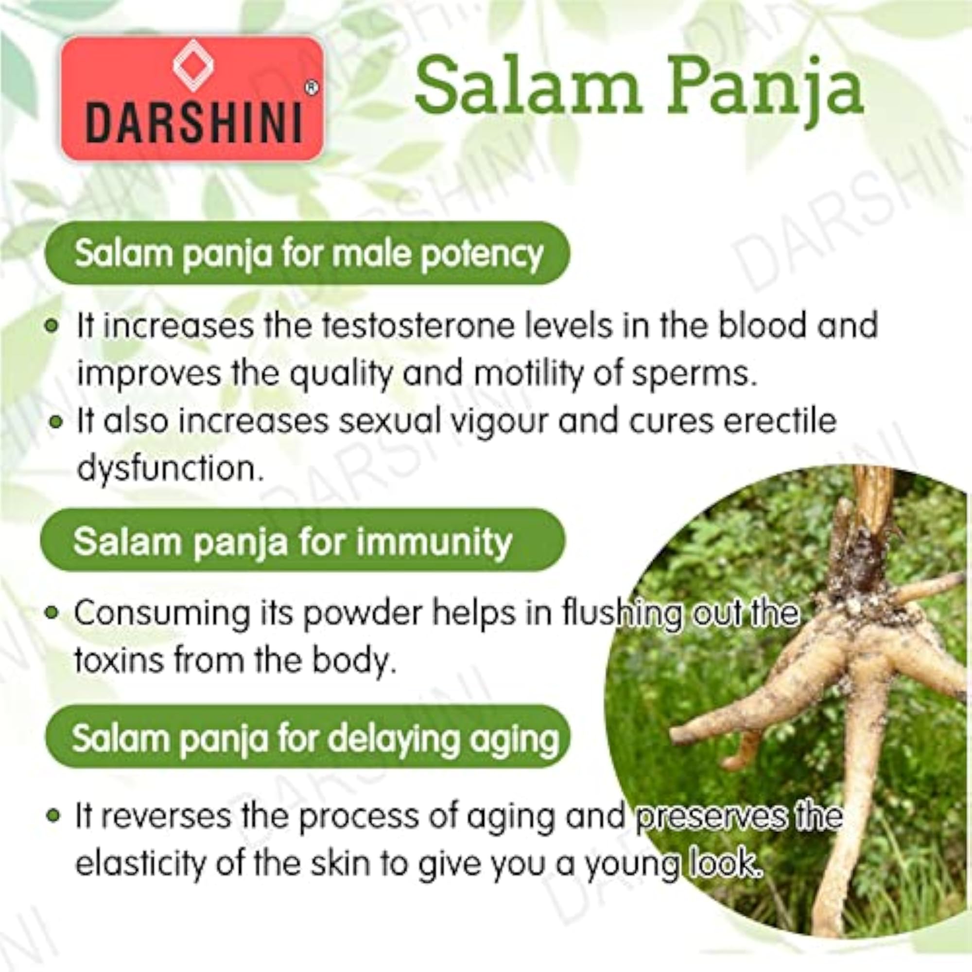 Darshini Salam Panja Powder, 50g