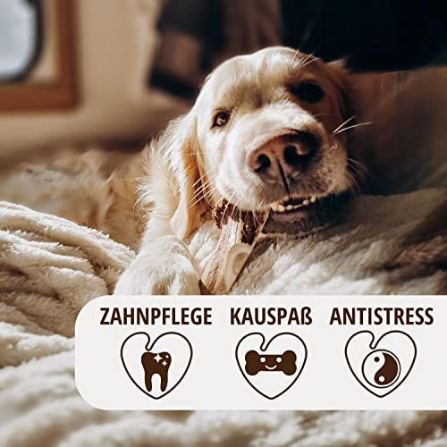PetLove Damhirsch Geweihstange für Hunde & Welpen • Hirschgeweih Hund • Natürliches Geweih • Kauspielzeug Größe L (151-225g)