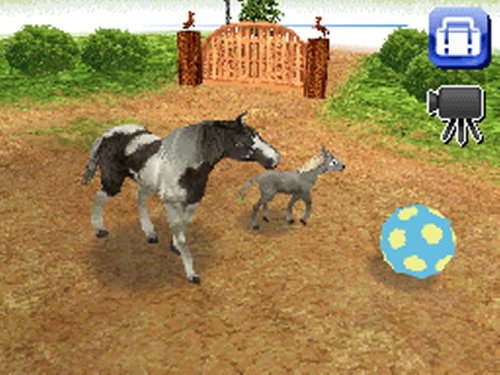 Petz Horseshoe Ranch - Nintendo Ds #TOP2