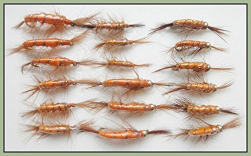 18 Shrimp Nymph Trout Flies Goldheand and Unweighted Choice (6/8)