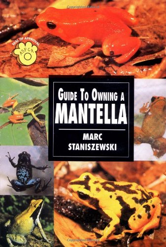 Guide to Owning a Mantella