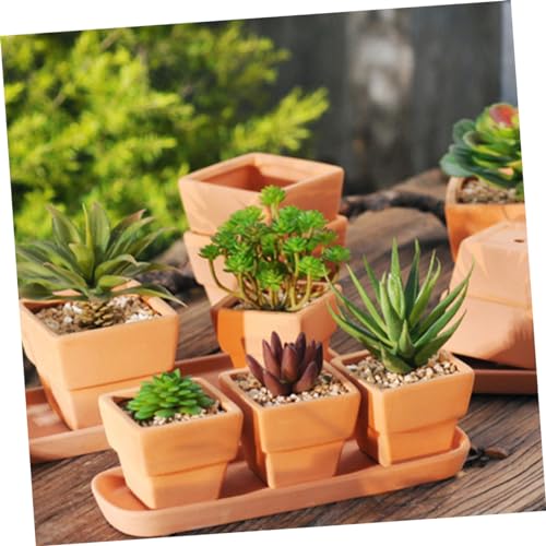 Pots de fleurs terre cuite durables en lot de 5 pour petits espaces