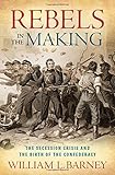 Rebels in the Making: The Secession Crisis and the Birth of the Confederacy