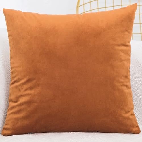 Zzdzw #2 Velvet Cushion Covers 45Cm X 45Cm ，50Cm X 50Cm，60Cm X 60Cm，Square Throw Pillow Cover 40X40，Sofa Cushion Covers For Bedroom Couch Living Room With Invisible Zipper (Color : Size : 40X40cm)