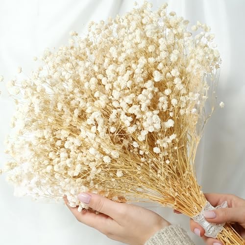 2300+ Dried Babys Breath Flowers 17'' Bulk...
