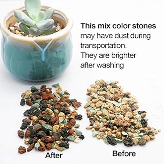 Mix Horticultural Lava Pebbles Pumice Potting Soil Amendment Succulent Cactus Bonsai Gritty Rock Decorative Gravel Plant Drainage Volcanic Rock for Terrarium Fairy Gardening Top Dressing 2.2lb