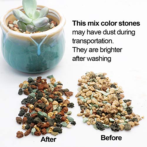 Consejos y comparativas para Comprar Tierras para cactus listamos los 10 mejores. 9 Imagen adicional