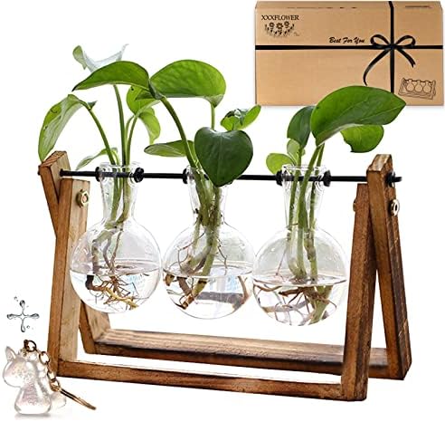 XXXFLOWER Plant Terrarium with Wooden Stand, Air Planter Bulb Glass Vase Metal Swivel Holder Retro Tabletop for Hydroponics Home Garden Office Decoration – 3 Bulb Vase XXXFLOWER Plant Terrarium with Wooden Stand, Air Planter Bulb Glass Vase Metal Swivel Holder Retro Tabletop for Hydroponics Home Garden Office Decoration – 3 Bulb Vase