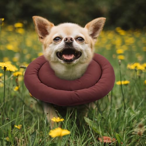 Collier de récupération chat en tissu imperméable et coton PP