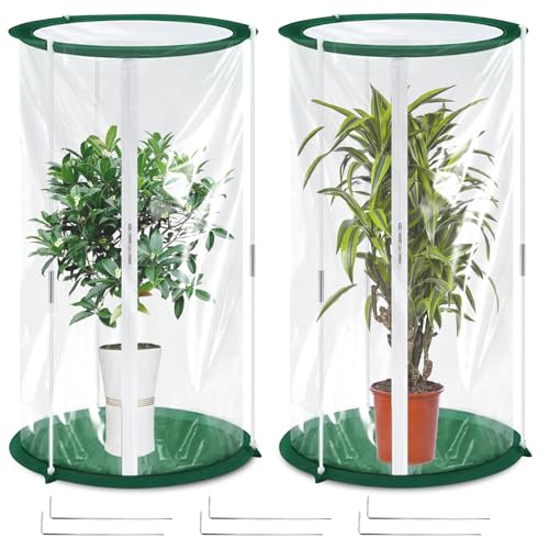 2 Stück Mini Gewächshaus 50x30cm – Überwinterungszelt für Pflanzen – Gewächshaus Klein für Gemüse, Blumen & Pilze – Transparentes Foliengewächshaus Klein, Pop-Up Treibhaus
